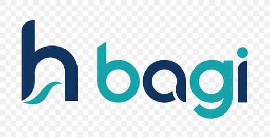 H Bagi